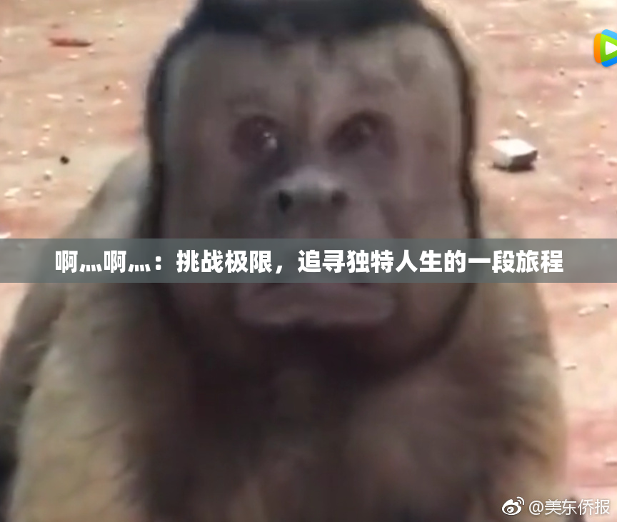 啊灬啊灬：挑战极限，追寻独特人生的一段旅程