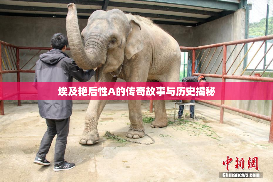 埃及艳后性A的传奇故事与历史揭秘