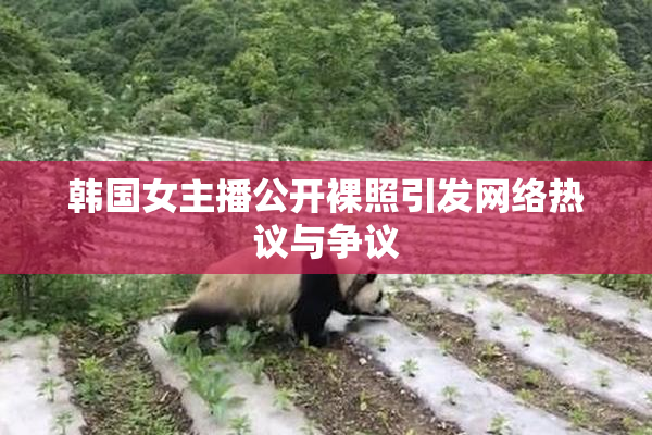 韩国女主播公开裸照引发网络热议与争议