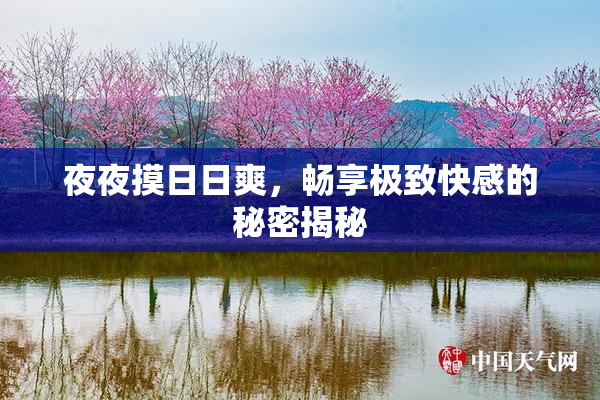 夜夜摸日日爽，畅享极致快感的秘密揭秘