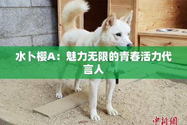 水卜樱A：魅力无限的青春活力代言人
