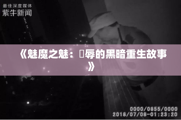 《魅魔之魅：婬辱的黑暗重生故事》