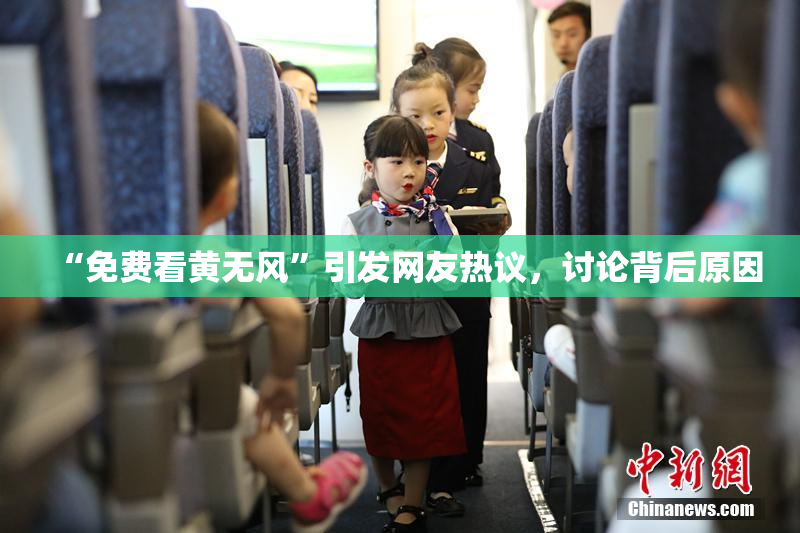 “免费看黄无风”引发网友热议，讨论背后原因