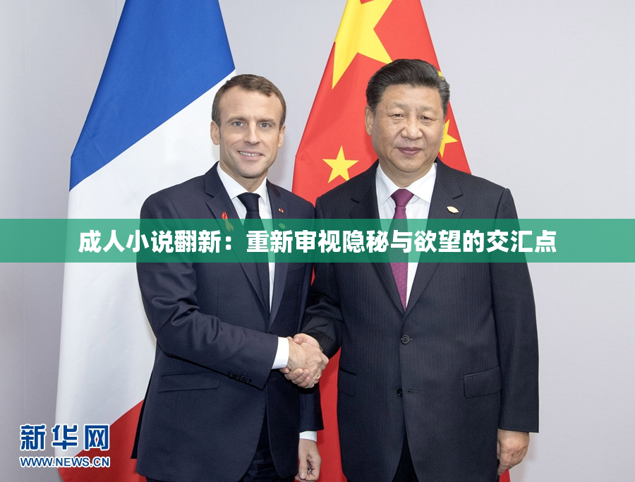 成人小说翻新：重新审视隐秘与欲望的交汇点