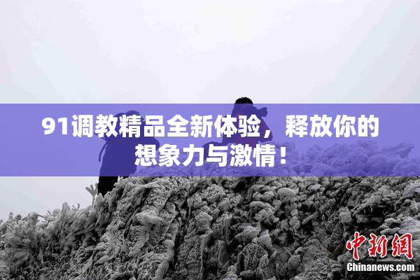 91调教精品全新体验，释放你的想象力与激情！