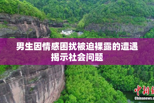 男生因情感困扰被迫裸露的遭遇揭示社会问题
