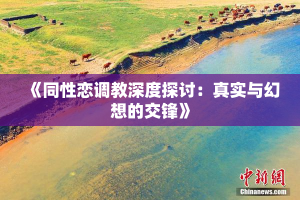《同性恋调教深度探讨：真实与幻想的交锋》