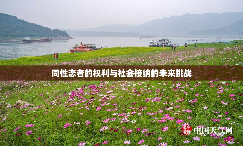 同性恋者的权利与社会接纳的未来挑战