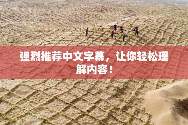 强烈推荐中文字幕，让你轻松理解内容！