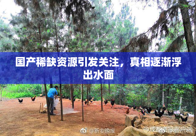 国产稀缺资源引发关注，真相逐渐浮出水面