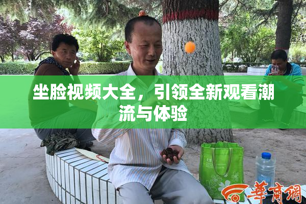 坐脸视频大全，引领全新观看潮流与体验