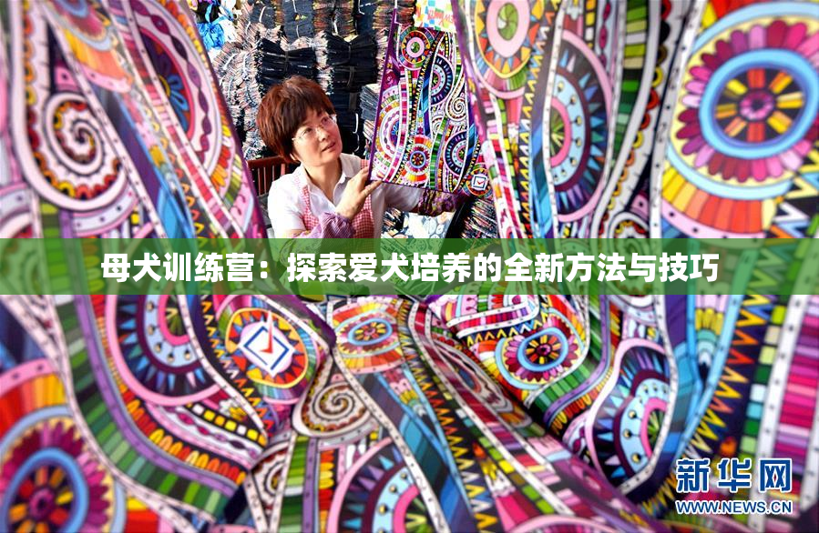 母犬训练营：探索爱犬培养的全新方法与技巧