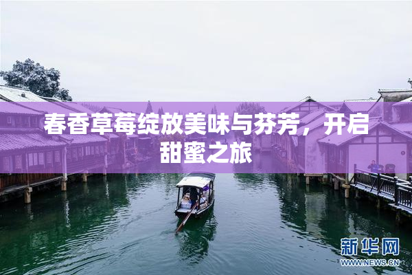 春香草莓绽放美味与芬芳，开启甜蜜之旅