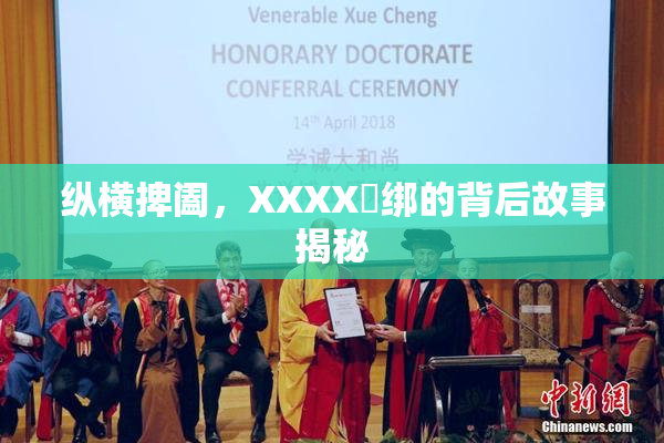 纵横捭阖，XXXX秵绑的背后故事揭秘