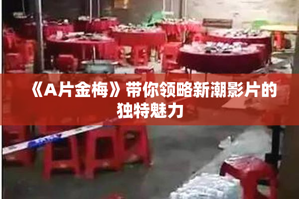 《A片金梅》带你领略新潮影片的独特魅力