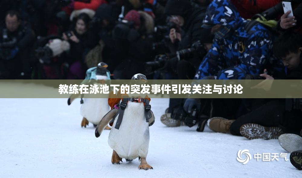 教练在泳池下的突发事件引发关注与讨论