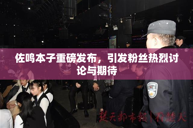 佐鸣本子重磅发布，引发粉丝热烈讨论与期待