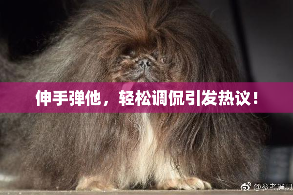 伸手弹他，轻松调侃引发热议！