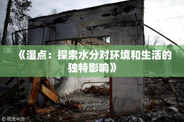 《湿点：探索水分对环境和生活的独特影响》
