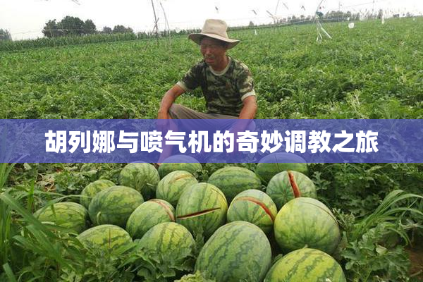 胡列娜与喷气机的奇妙调教之旅
