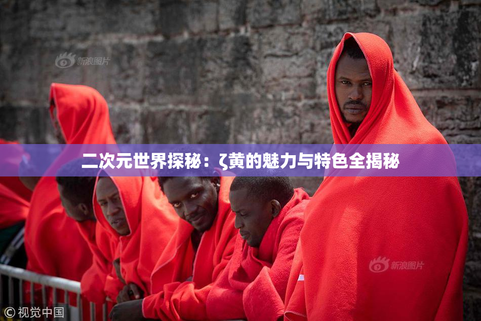 二次元世界探秘：ζ黄的魅力与特色全揭秘