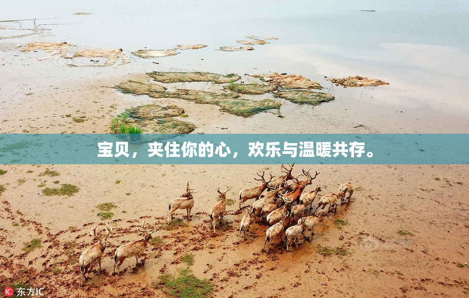 宝贝，夹住你的心，欢乐与温暖共存。