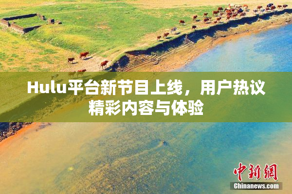 Hulu平台新节目上线，用户热议精彩内容与体验