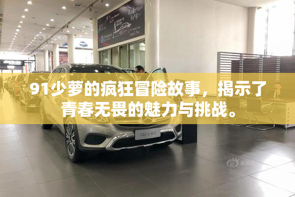 91少萝的疯狂冒险故事，揭示了青春无畏的魅力与挑战。