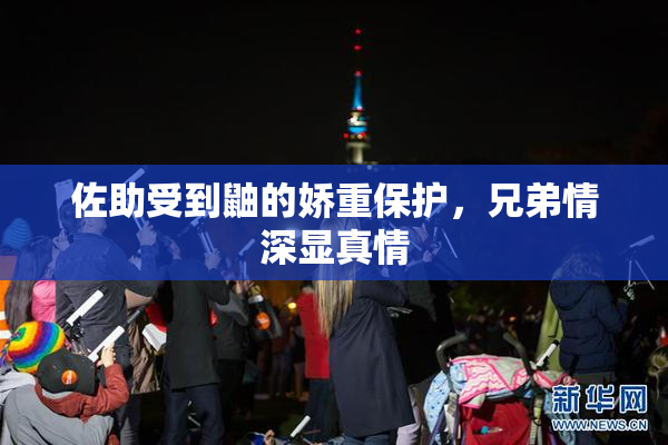 佐助受到鼬的娇重保护，兄弟情深显真情