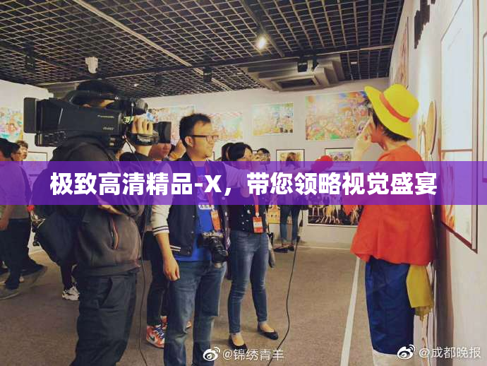 极致高清精品-X，带您领略视觉盛宴