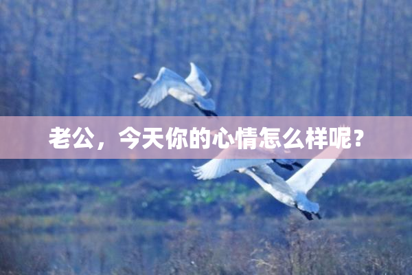 老公，今天你的心情怎么样呢？