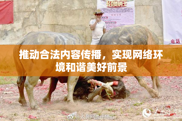 推动合法内容传播，实现网络环境和谐美好前景