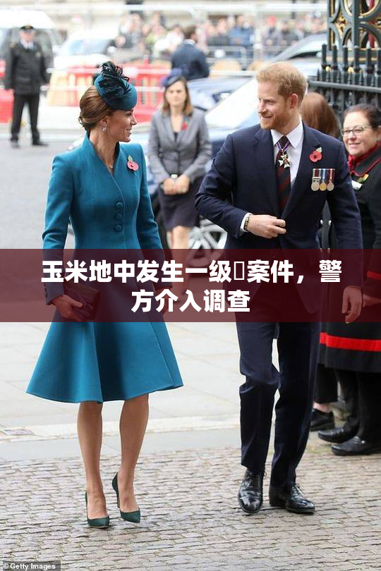 玉米地中发生一级婬案件，警方介入调查