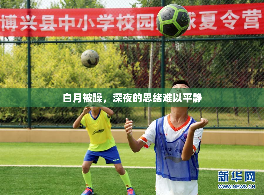 白月被躁，深夜的思绪难以平静