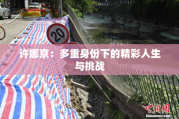 许娜京：多重身份下的精彩人生与挑战