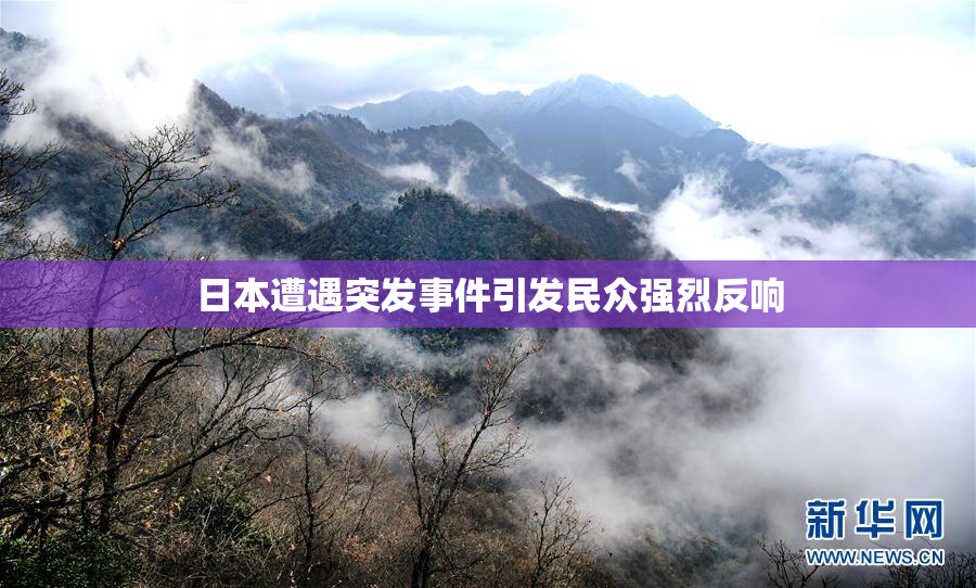 日本遭遇突发事件引发民众强烈反响