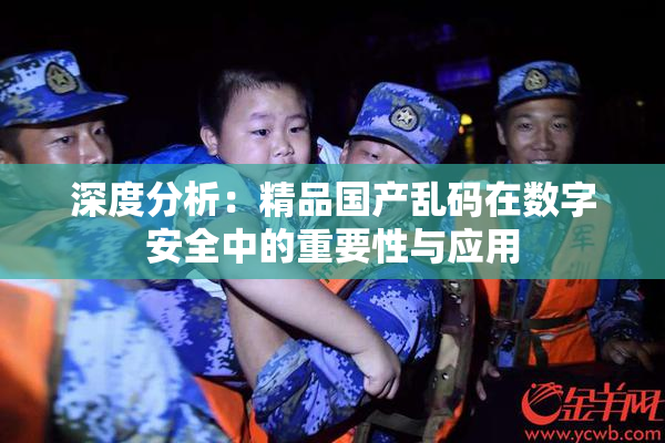 深度分析：精品国产乱码在数字安全中的重要性与应用