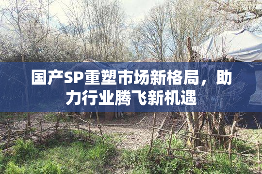 国产SP重塑市场新格局，助力行业腾飞新机遇