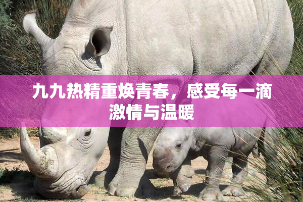 九九热精重焕青春，感受每一滴激情与温暖