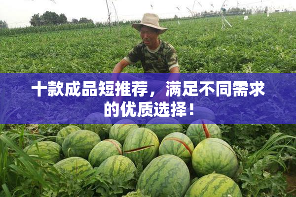 十款成品短推荐，满足不同需求的优质选择！