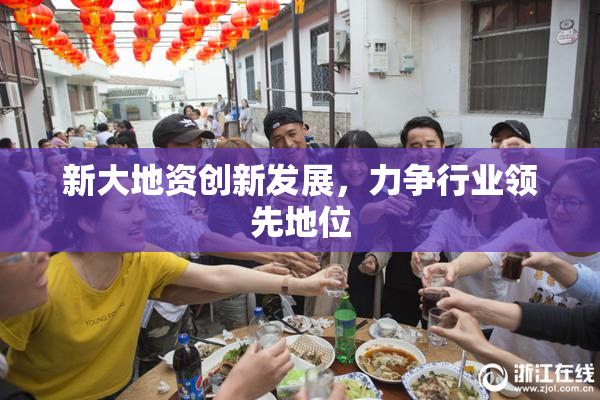 新大地资创新发展，力争行业领先地位