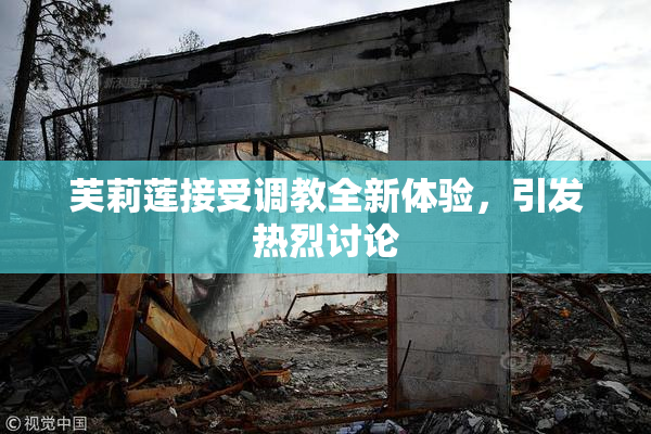 芙莉莲接受调教全新体验，引发热烈讨论