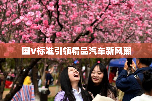国V标准引领精品汽车新风潮