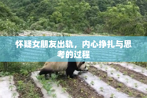怀疑女朋友出轨，内心挣扎与思考的过程