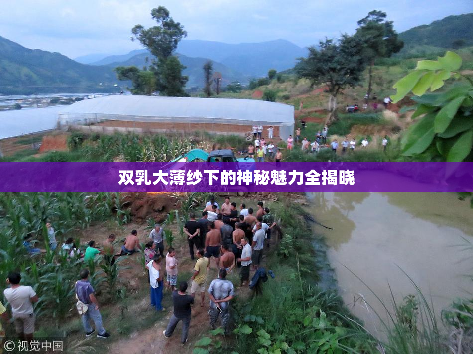双乳大薄纱下的神秘魅力全揭晓
