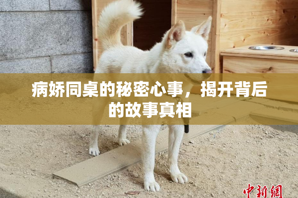 病娇同桌的秘密心事，揭开背后的故事真相
