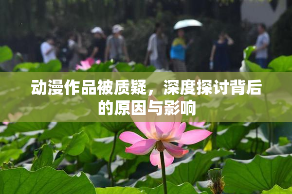 动漫作品被质疑，深度探讨背后的原因与影响