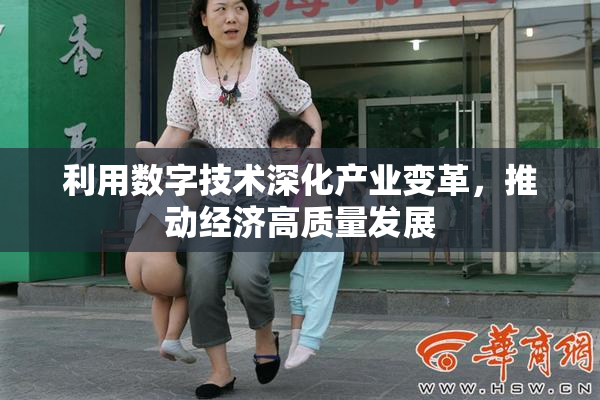 利用数字技术深化产业变革，推动经济高质量发展