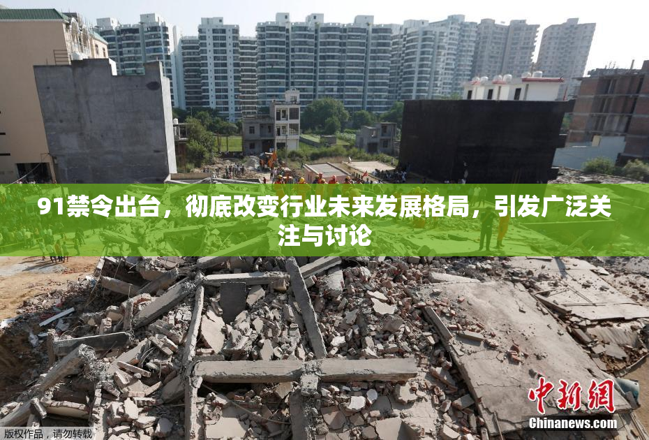 91禁令出台，彻底改变行业未来发展格局，引发广泛关注与讨论
