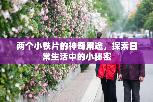 两个小铁片的神奇用途，探索日常生活中的小秘密